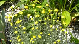 DSCN3163.webp