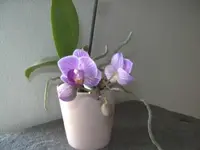 BILD2580.webp
