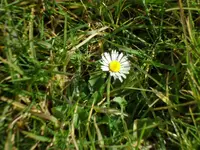 SAM_2970.webp