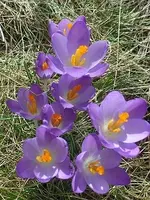 SAM_1169.webp