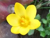 SAM_1168.webp