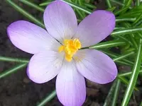 SAM_1170.webp