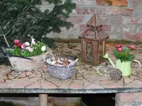 Frühling4.webp