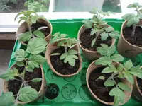 DSCF7557.webp