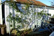 DSCF1552[1].webp