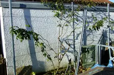 DSCF1554[1].webp