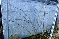 DSCF1556[1].webp