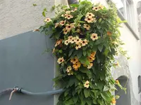 herbst 2013 076.webp