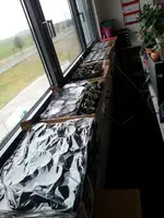 20140218_114921.webp