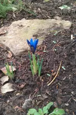 IMAG1688.webp