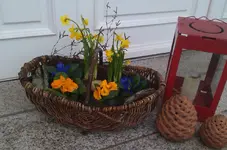 IMAG1692.webp