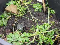 007_1024x768.webp