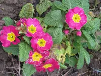 024_1024x768.webp