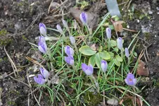 DSC00814.webp