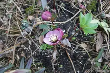 DSC00817.webp