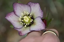 DSC00822.webp