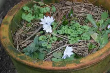 DSC00825.webp
