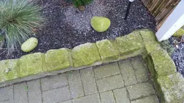 P1060045.webp