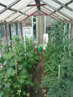 DSC00934.webp