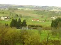 febr03 001.webp