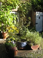 IMG_6853.webp
