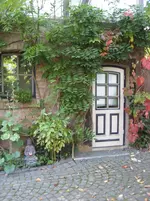 IMG_6856.webp