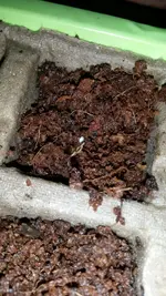 20140219_165434.webp