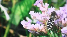 082.webp