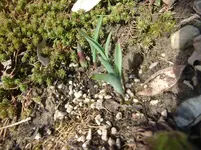 CIMG5157.webp