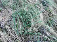 CIMG5169.webp