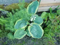 CIMG6251.webp