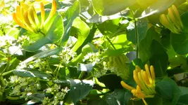 DSCN2989.webp