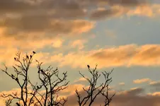 Stare_0004.webp
