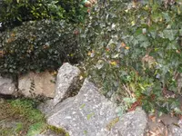 SAM_2995.webp