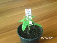 BILD4452.webp