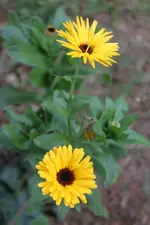 IMG_1764.webp