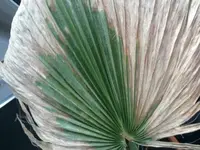Foto1.webp