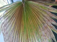 Foto2.webp