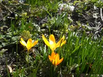 DSCN0658.webp