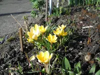 DSCN0662.webp