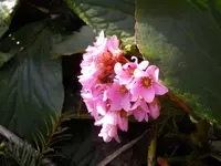 DSCN0663.webp