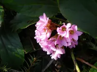 DSCN0664.webp
