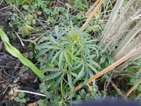 DSCN0665.webp