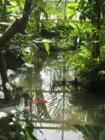 IMG_4112.webp
