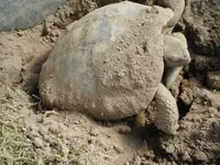 DSCF2575.webp