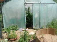 DSCF2830.webp