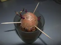 2014-02-21 Süsskartoffel.webp