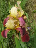 029_576x768.webp