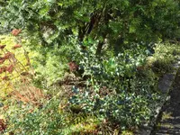 SAM_3000.webp