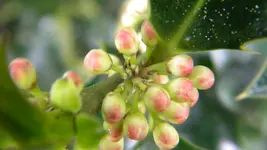 DSCN4601.webp